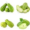 Generic semi di chayote, chayote, esotiche resistenti di chayote rare, biologici, 40pcs