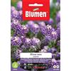 BLUMEN Bustina Con Semi Di Alisso Violetto Nano