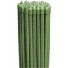 Virsus 25 Canne in Acciaio con Rivestimento in Plastica Verde, Lunghezza 150 cm, diametro 11 mm, Stecche Sostegno per piante Rampicanti, Ortaggi, Pomodori, per giardino, orto -6401F