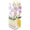 VESTA Profumatore d'ambiente Orchidea Livinia - Fragranza Anima by Chiara Firenze - Viola - 200 ml - Cristallo acrilico - Lavorazione artigianale - Idea regalo - Made in Italy