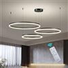 BEHWU Lampadario LED Lampada Soggiorno Lampadario Dimmerabile Con Telecomando Anelli Lampade Sospensione Moderne Tavolo Pranzo Altezza Regolabile Lampadario a Soffitto Acrilico Rotondo in Alluminio