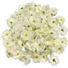 Rikyo 100 fiori di ciliegio in seta artificiale, fiori di prugna,fiori di pesco, riempitivi per vasi, corsetti, pareti della stanza dei bambini, arco, ghirlanda di decorazioni per torte (bianco)