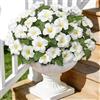 ASTNIC 4 Pezzi Fiori Finti da Esterno, Fiori Artificiali Piante Finte da Esterno, Petunia Pianta Finta Fiori di Seta Resistente ai Raggi UV, Fiori Finti da Interno Decorazioni da Balcone Matrimoni