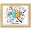 ConKrea QUADRO SU TELA CANVAS INTELAIATO - CON CORNICE - Cervello Idea Concept - Psicologia - Brainstorm Business - 30x40cm - Stile Contemporaneo Legno Naturale - (cod.2853)