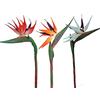 HAOSHICS 3 fiori artificiali per uccelli celesti, finti uccelli del paradiso Strelitzia, piante in finta seta, per casa, ufficio, matrimonio, decorazione Centerpeice (piccolo, 3 colori)