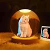 BBGDP Lampada Da Notte Commemorativa Con Foto Personalizzata Di Animali Domestici, A Globo Cristallo 3D Cane, Regalo Condoglianze For La Perdita Un Gatto For Gli Amanti Dei Cani E Gatti