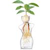 Syzplnwy Vaso per avocado: in vetro borosilicato per la germinazione dei semi e la coltura idroponica, sicuro per l'acqua salata, con bordi lucidi, decorazione compatta per casa/ufficio (normale)
