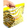 Alcas PZ 10 BUSTA TERMICA ICE BAG 35 CM X 22 CM (PER CONTENERE VASCHETTE GELATO DA 350/500 CC) IDEALE PER SPEDIZIONE TRAMITE CORRIERE