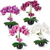 PASCH® Set di 4 Orchidee Artificiali in Vasi di Ceramica Lucida (40 cm), Fiori Come Veri