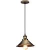 iDEGU Lampada a Sospensione Industriale 22CM Lampada da Soffitto Vintage Stile Edison E27 Lampadario a Sospensione Retrò per Soggiorno Sala da Pranzo Cucina Bar Ristorante (1 Pezzo, Bronzo)