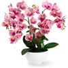 PASCH Orchidea artificiale XXL, grande (56 cm), in vaso di ceramica lucida, orchidee artificiali, fiori artificiali come veri, orchidee artificiali in vaso, fiori artificiali in vaso (chiaro)