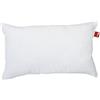 POWER INN - Cuscino interno in cotone | 60 x 40 cm | Cuscino lavabile come cuscino decorativo, cuscino per divano e cuscino per la testa | Imbottito con ovatta Oeko Tex 100 (1, 60 x 40 cm), Bianco