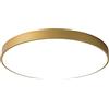 Generic Plafoniera LED Rotonda, Lampada da soffitto Moderna nordica per cameretta dei Bambini, Luce Oro + Neutra, 23 cm, 12 W