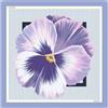 Liu Jo Tuch mit Blume T_U_, 00102