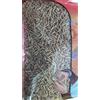 WSA CUMINO INTERO JEERA WHOLE 100G