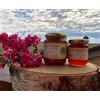 Generico Miele Italiano di Castagno Montagne Cuneo Val Corsaglia Langhe Piemonte produttore diretto azienda agricola ape golosina 100g 250g 500g 1000g genuino ferro sali minerali difese (500 g)