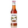 Monin Sciroppo alla cannella, 0,25 litri