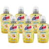 Generico 6X Estathe Deteinato per camomilla, Vero Infuso di Foglie di The Nero e Fiori di camomilla 250ml