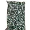 Generico Fassi caramelle mini dure Senza Zucchero 1kg (menta)