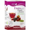 SANDEMETRIO 18 Cialde Filtro Carta 44Mm Sandemetrio Tisana Bio Frutti Di Bosco