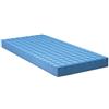 TERMIGEA MATERASSO ANTIDECUBITO POLIURETANO 1 SEZIONE - TERMIGEA - 190x85x10cm