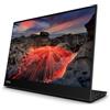 Lenovo ThinkVision M14t Gen2 14-inch Monitor