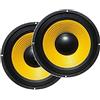 W.E.B. COPPIA WOOFER 12 POLLICI 500W (250w x 2) 12 SUBWOOFER AUTO 31 CM 310 MM UNIVERSALI ** PER PANNELLO AUTO O RICAMBI CASSE ACUSTICHE