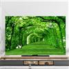 Hixingo Copertura Antipolvere per TV, Motivo Foresta 3D Copri Televisore 32-80inch Copertura Televisore Cover TV Copri TV Protezione TV Custodia Protettiva TV (40-43inch,Pianta verde)
