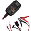 Electron Caricabatterie automatico SX-3, LiFePO4 12.8V da 2 a 15Ah 4 celle, piombo 6V 12V da 4 a 50Ah, batterie WET auto moto, GEL, AGM, MF, VRLA, funzione diagnosi, ripristino, carica e mantenimento