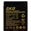 SKB BATTERIA A PIOMBO 12V 2,9AH SKB