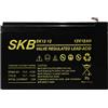 SKB Batteria al Piombo Ricaricabile Gruppi ups 12V 12Ah Alta RESA
