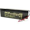 ISNATCH Batteria al piombo skb 6v 4ah sk6-4 con connettore tipo beghelli