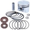 DORFEY Guarnizione dell'olio dell'anello del pistone da 35 mm adatta for h0-n-d-a GX25 GX25N GX25NT FG110 HHT25S Ricambi for tosaerba Attrezzi e attrezzature for giardinaggio