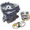Qdkpgls Kit cilindro e pistone for motosega da 44,7 mm adatto for S MS261(Cylinder set)