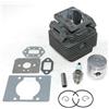 RLFNPHMHX Kit pistone cilindro da 36 mm for decespugliatore R//e//d/M/a/x BC3400 BC340 BC3401 BC3402 BC3410 BC3500 BK3400 BK3401 BK3402 BK3500 BK3501