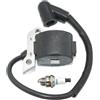 LIWaaGe Bobina di accensione for Sachs 109 110i 110i H 111 115 115H 115i 115i H PS-43 PS-52 PS-540 DCS540