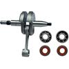 LIWaaGe Kit motore con cuscinetti e paraoli for albero motore for motosega MS362 e MS362C