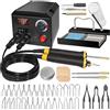 FIRElood Strumento per bruciare il legno, kit bruciatore a legna penna 200 ~ 750 ℃, kit per bruciare il legno con termometro digitale temperatura regolabile, 2 penne pirografiche a legna, 36 punte per