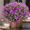 AXYLEX Fiori artificiali per esterni, resistenti ai raggi UV, 12 fasci di piante finte da esterno, fiori in plastica, cespugli non sbiadiscono, per casa, portico, steli esterni e finestre (magenta)