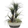 Flair Flower Pianta artificiale Dracena/Tillandsia in vaso, fiore artificiale falso, pianta verde, pianta artificiale, erba artificiale, cactus, pianta d'appartamento, piante grasse aloe vera agave Yucca