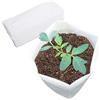 Belit Grandi sacchetti per piante in tessuto non tessuto, 30 pezzi, contenitori per piantine, per alberi, verdure, fiori, piante (32 x 34 cm)