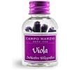 CAMPO MARZIO ROMA 1933 CAMPO MARZIO - 6 Cartucce per Penna Stilografica, colore Viola