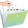 Generic Cartella portadocumenti espandibile, organizzatore di documenti in plastica formato A4, organizzatore di file a fisarmonica con etichette per forniture scolastiche e da ufficio (12 tasche, verde)