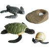 Generico Figurine Del Ciclo Di Vita - Figurine Di Animali Realistiche | Falena Farfalla Tartaruga Lavoratrice Formica Rana, Kit Educativo Ďi Figure Đi Insetti In PP, Set Interattivo D́i Apprendimento Degli Ani
