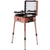 lalaleny Valigetta per trucchi con 4 rotoli, illuminazione a specchio, trucco, professionale, gambe regolabili (oro rosa)