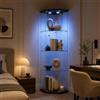 HOOGDLJ Vetrina angolare in vetro con illuminazione a LED, vetrina in vetro, 1 ante, 4 ripiani, vetrina in vetro, vetrina per libri, ufficio, soggiorno (nero, 1 porta a 4 strati)