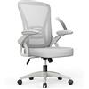rattantree Sedia da Ufficio con Supporto Lombare, Sedia Ufficio Ergonomica con Braccioli Regolabili in Rete Traspirante, Altezza Regolabile e Schienale Inclinabile con Ruote Girevoli, Grigio