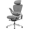 HINOMI H2 Pro Sedia da Ufficio Ergonomica con Supporto Lombare, Braccioli regolabili & 3D Poggiatesta Regolabili, 150kg, Sedia Girevole per Scrivania, Sedia per Ufficio & Gaming (Grigio)