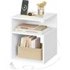 EUGAD Comodino, Tavolino con Stazione di Ricarica, Porte USB e di Type-C, 2 Scomparti Aperti, per Camera da Letto, Soggiorno, Legno, 35x35x41 cm, Bianco