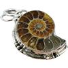 Generic Ciondolo in argento Sterling 925 con ammonite, collana a spirale naturale, per donne e uomini